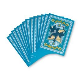 protector pokemon center tcg