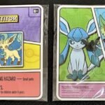 pin pokemon