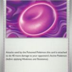 binding mochi cartas pokemon tcg