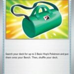 hop's bag cartas pokemon tcg