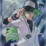 n's plan full art cartas pokemon tcg