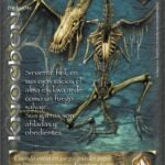 knochen la cofradia venta de cartas myl primera era