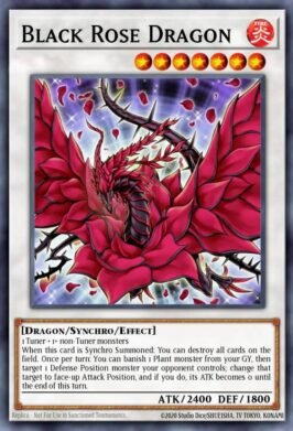 black rose dragon 2