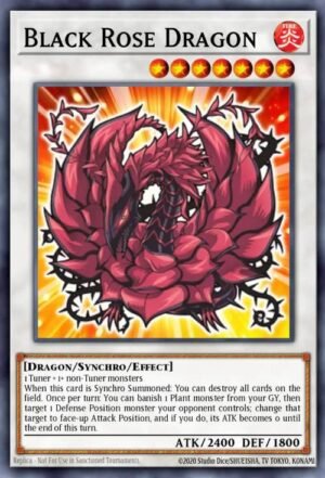 black rose dragon