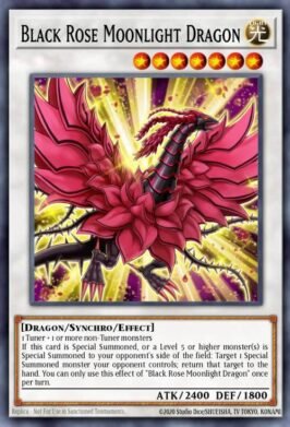 black rose moonlight dragon
