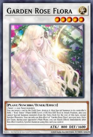 garden rose flora