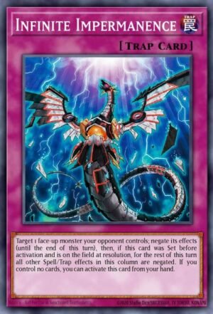 infinite impermanence
