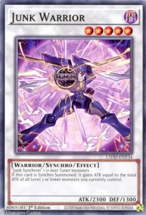 junk warrior