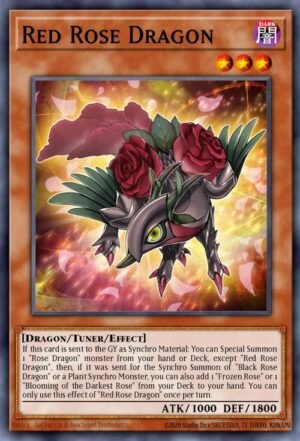red rose dragon