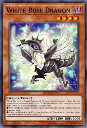 white rose dragon