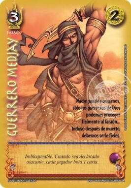 guerrero medyaj.webp