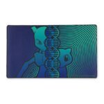 Playmat y Accesorios Pokemon Center | Pokemon TCG en Poison and Potion Chile